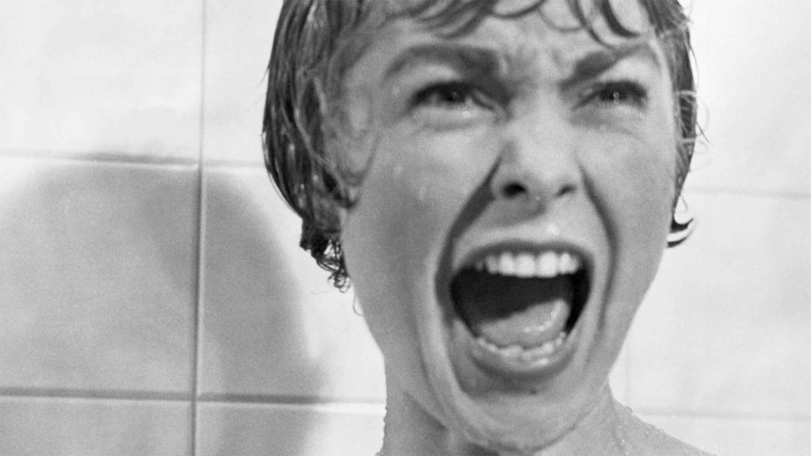 Janet Leigh as Marion Crane in Psycho