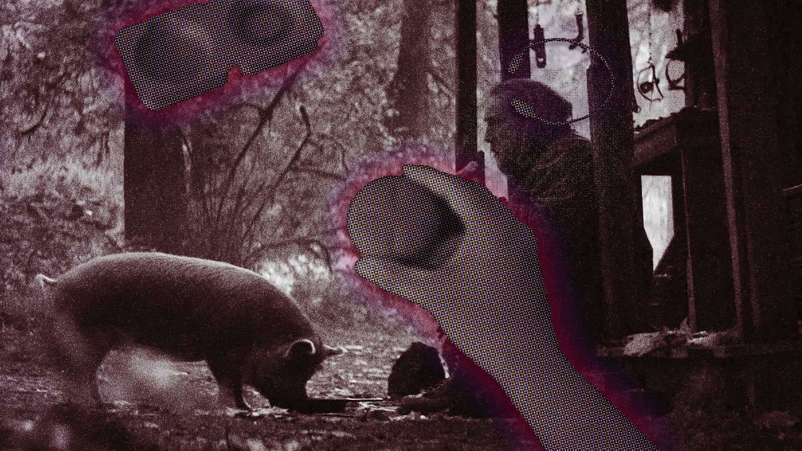 The STEM PLAYER And The Movie Pig