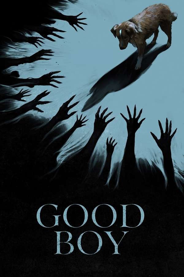 Movie poster for Good Boy